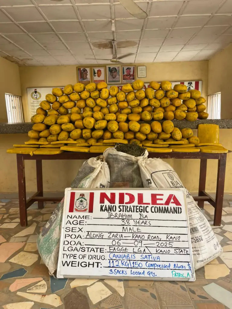 NDLEA Recovers 112kg of Cannabis After Road Accident in Kano